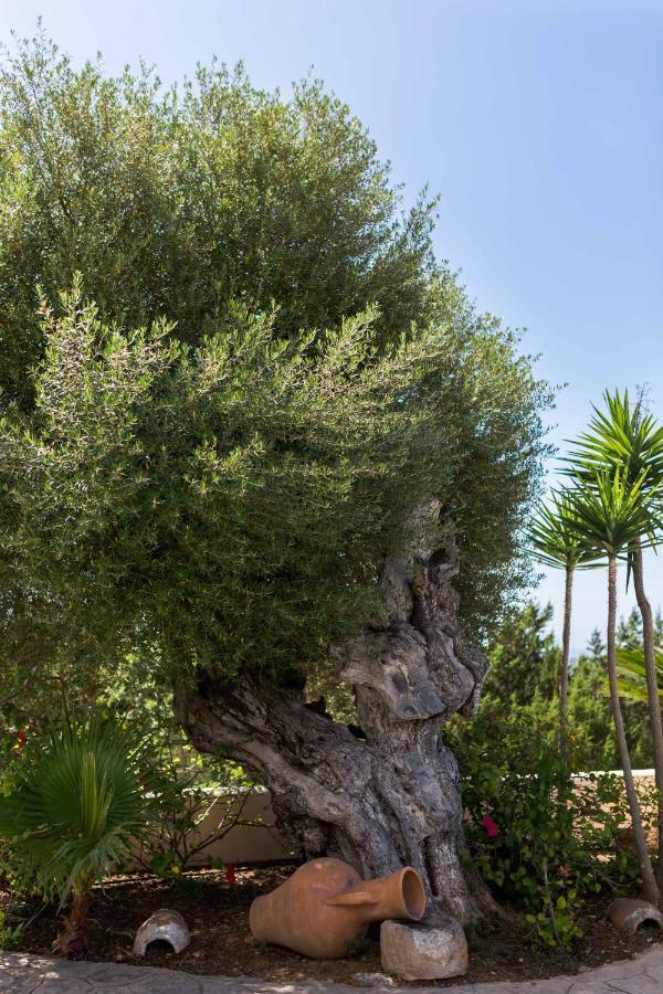 Villa Ca Na Vinya Cala Tarida (Ibiza) Exterior foto